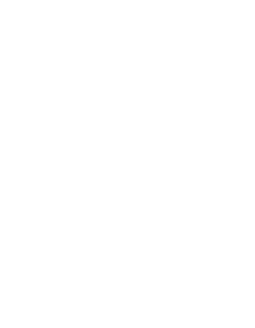 HSM